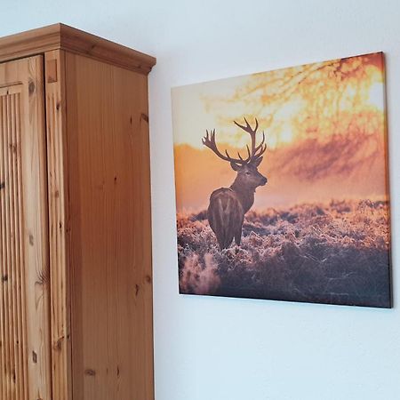 Apartament Haus Angelika Ehrwald Zewnętrze zdjęcie